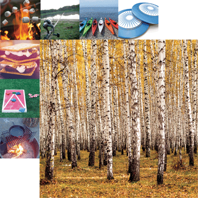 WS Happy Camper: Forest for the Trees