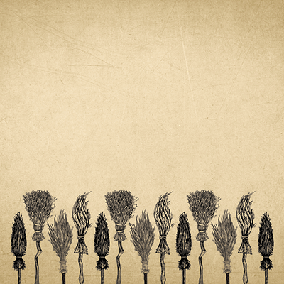 WS Hocus Pocus: Broomstick