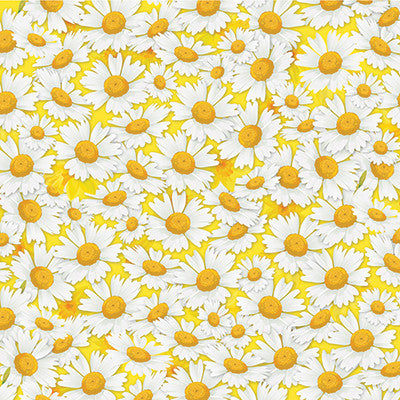 Happy Easter: Spring Daisies