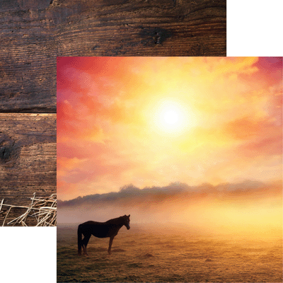 Horseplay: Horse at Sunrise