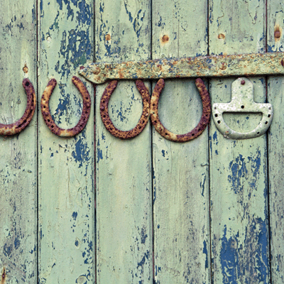 Horseplay: Barn Door