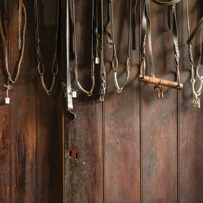 Horseplay: Horses in Silhouette