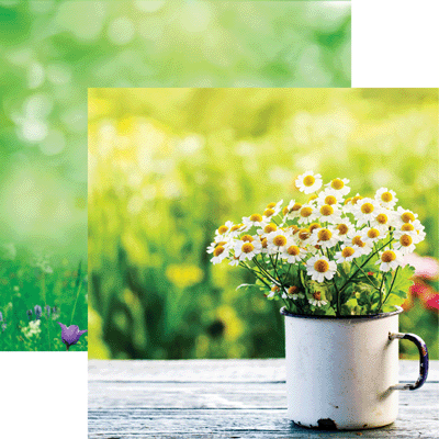 Hello Spring: Cup O'Daisies