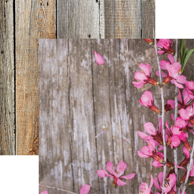 Hello Spring: Spring Flowers