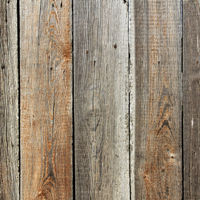 Hello Spring: Spring Flowers