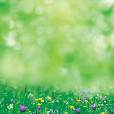 Hello Spring: Cup O'Daisies