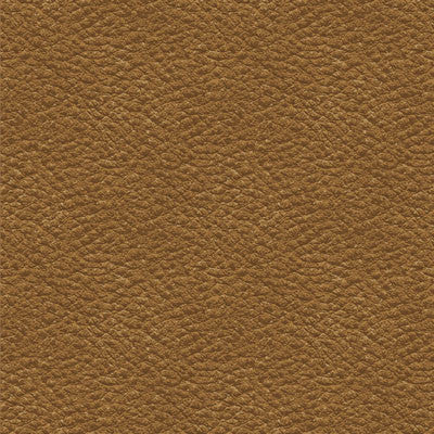 Hunter's Paradise: Hunter's Plaid