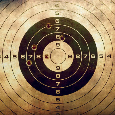 WS Hunter's Paradise: On Target