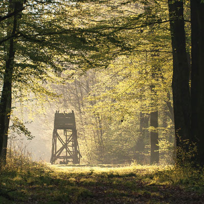 WS Hunter's Paradise: Antlers