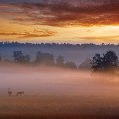 Hunter's Paradise: Straight as an Arrow