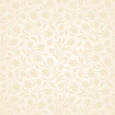 WS In Loving Memory: Love