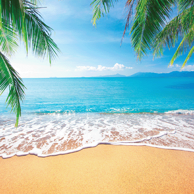 Island Princess: Ocean