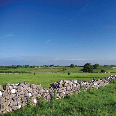 WS Ireland: Dingle Peninsula