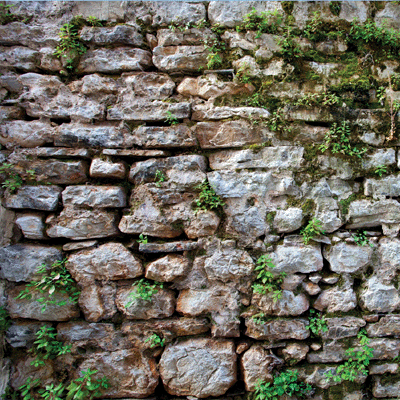 WS Ireland: Killarney National Park