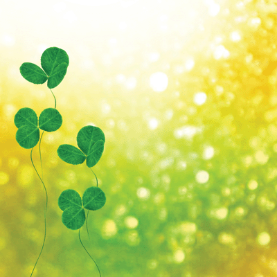 WS Irish Sass: Four Leaf Clover