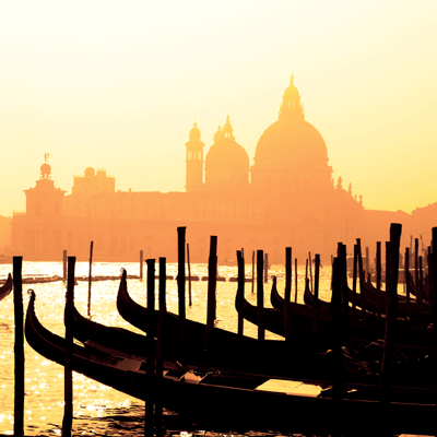 WS Italia: Viva Italia