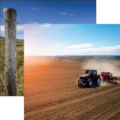 WS In The Field: Field Work