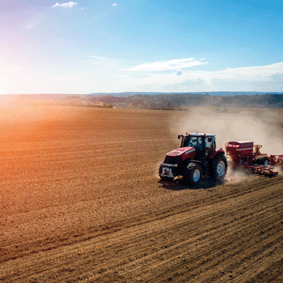 WS In The Field: Field Work