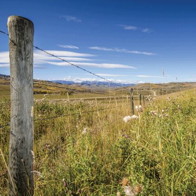 In The Field: Field Work