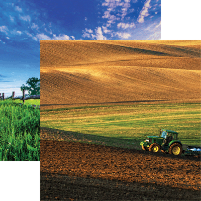 WS In The Field: Spring