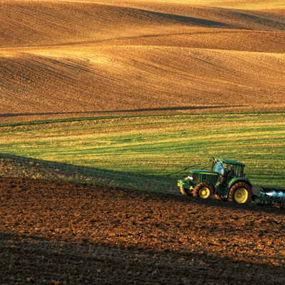 WS In The Field: Spring