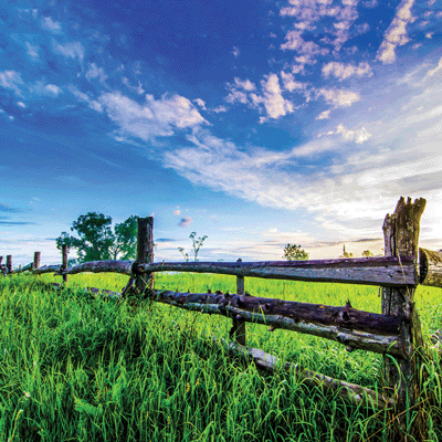 WS In The Field: Spring