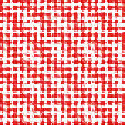 WS In the Kitchen: Red & Black Gingham