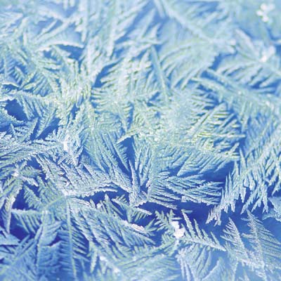 WS Jack Frost: Blue Frost