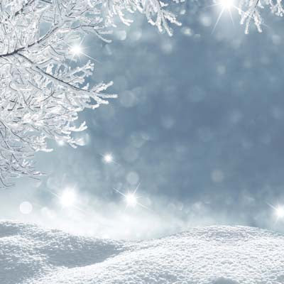 WS Jack Frost: Snowscape