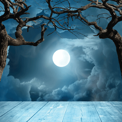 Jack's Revenge: Jack in the Forest