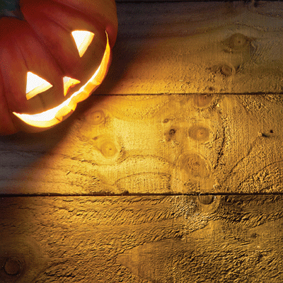 WS Jack's Revenge: Tales by Jack