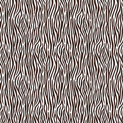 Jungle-icious: Zebra Print