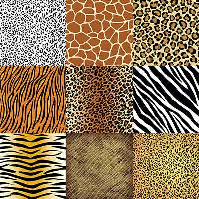 Jungle-icious: Cheetah Print - Designs By Reminisce