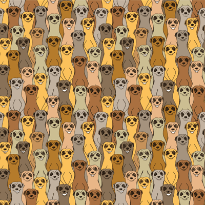 King of the Jungle: Meerkat