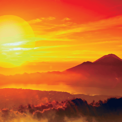 King of the Jungle: African Sunset