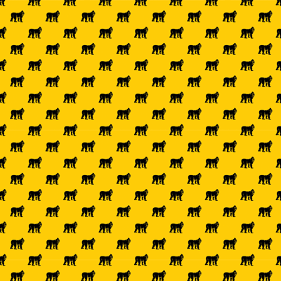 King of the Jungle: African Sunset