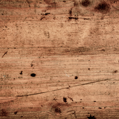 Love at First Bite: Love at First Bite