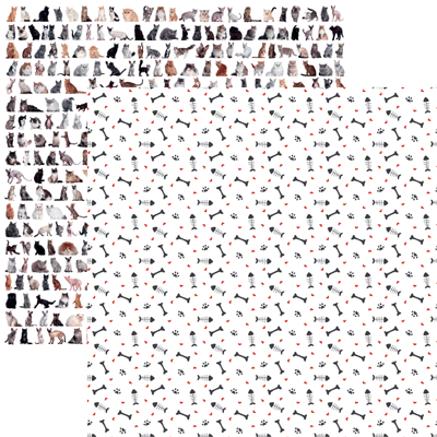 Love My Cat: Go Fish