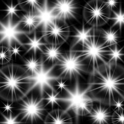 Through the Lens: Photo Shoot