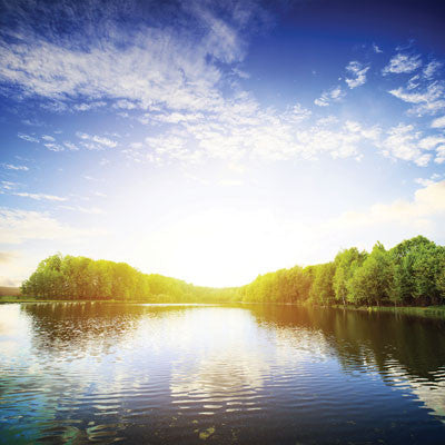 Lake Life: Lake Life