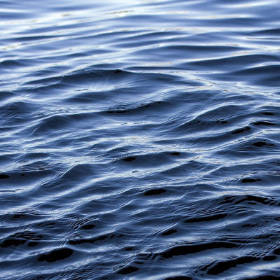 WS Lake Life: Lake Water