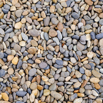 Lake Life: Lake Water