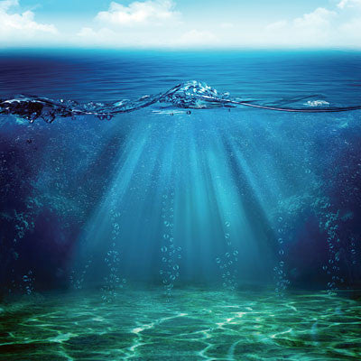 Lake Life: Lake Love