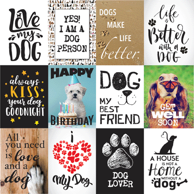 WS Love My Dog: My Best Friend