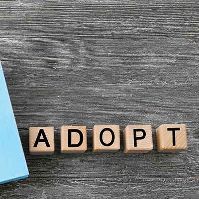 WS Love Makes A Family: Adopt