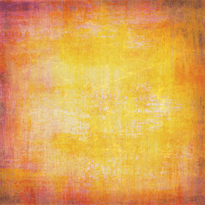 WS Love is Love: Love is Patient