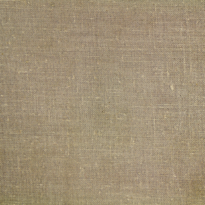 Modern Baby: Star Struck