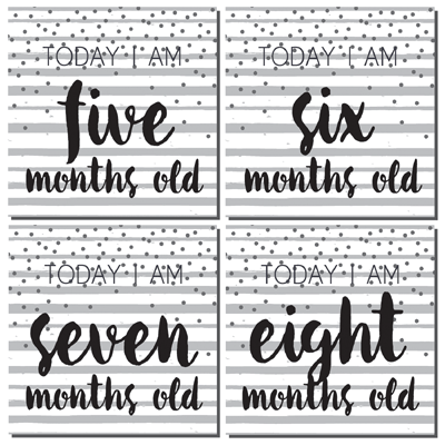 Modern Baby: First Year