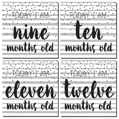 WS Modern Baby: First Year Too