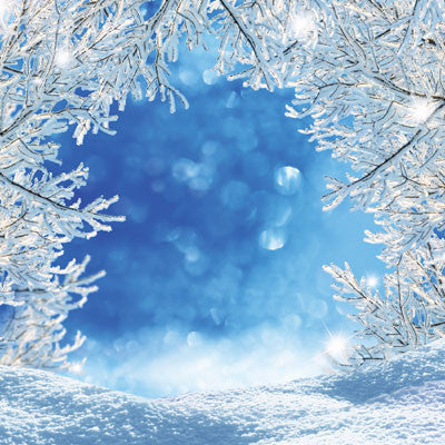 WS Magical Too: Magical Winter